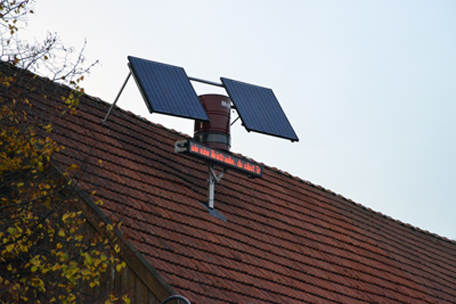 Leuchtfeuer_Detail_Weintraube